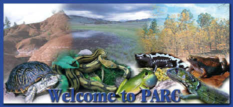Welcome to Partners in Amphibian and Reptile Conservation