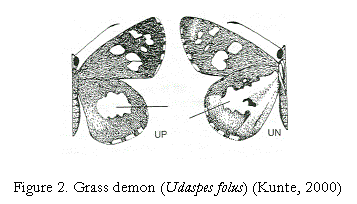 Untitled Document [wgbis.ces.iisc.ac.in]