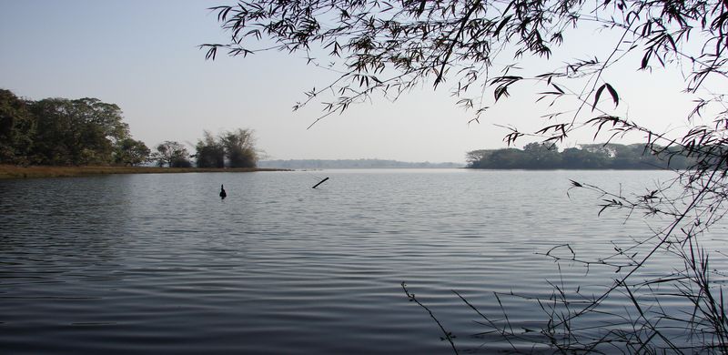 Ecological Status of Selected River Basine in Central Western Ghats