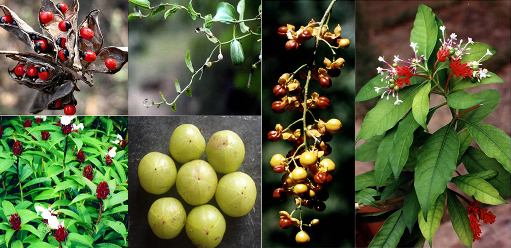 full screen background image