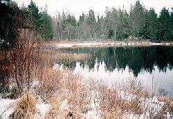 vinter.jpg - 16.3 K