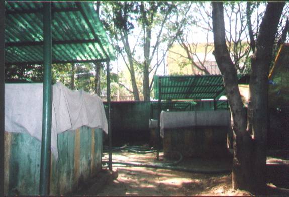 Untitled Document [wgbis.ces.iisc.ac.in]