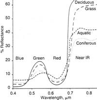 http://www.geog.ucsb.edu/%7Ejeff/115a/lectures/cameras_films_filter/film_spectralcurves.jpg