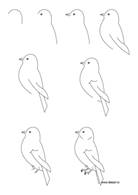 drawing-bird.jpg