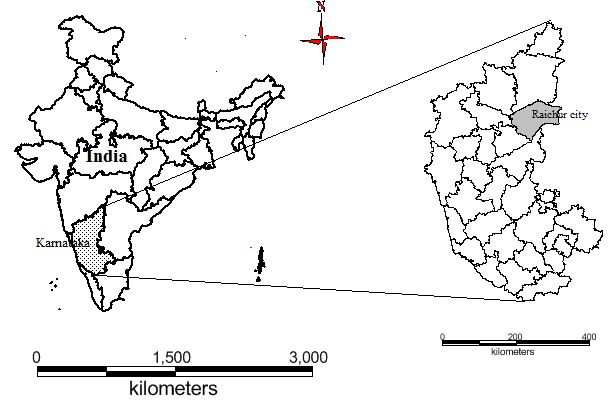 Urbanisation and sprawl in the Tier II City: Metrics, Dynamics and ...