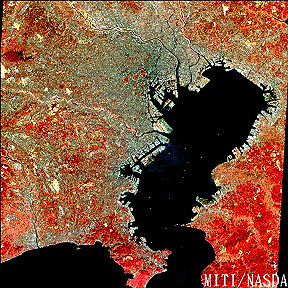JERS-1 false color images of Tokyo and Tokyo Bay; note the large rectangles which are landfill into the bay that serve as docking and storage areas.