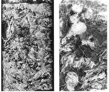 Egyptian crystalline terrain image by SIR-A radar (left) and Landsat (right).