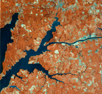 False color Landsat subscene (July 1977) of fields and water near Elkton, MD (near top)