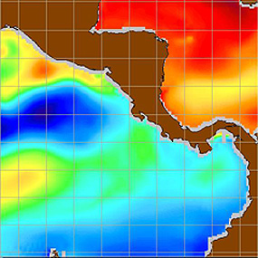 Orbview-2 thermal image.