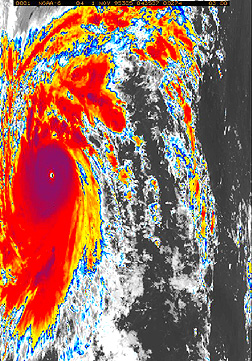 Colorized NOAA-6 IR image of Super Typhoon Angela, November 11 1995.