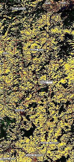 SPOT 
Satellite landcover map-modern vegetation cover.