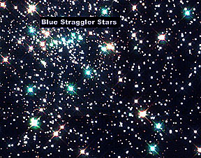 Large blue stars in globular cluster NGC6397.