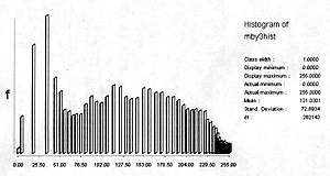 Shown here is the effect of a histogram equalization stretch in which the DNs are reassigned  values as a function of their frequency of occurrence, such that the value range that is dominant is stretched out over a larger spread of DNs; this affects the less common values beyond this range by combining them into several single values.