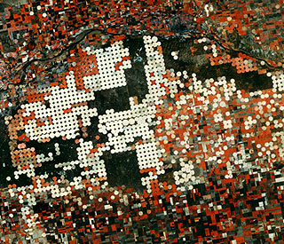 Circular fields in Nebraska; Landsat image.