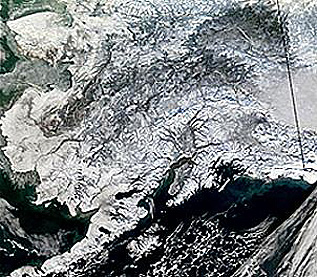 MODIS image of much of Alaska.