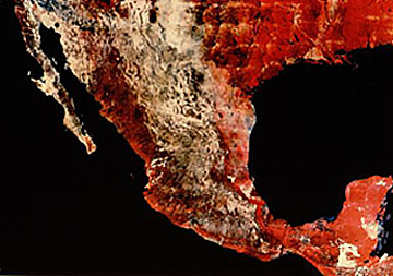 False color mosaic of Mexico